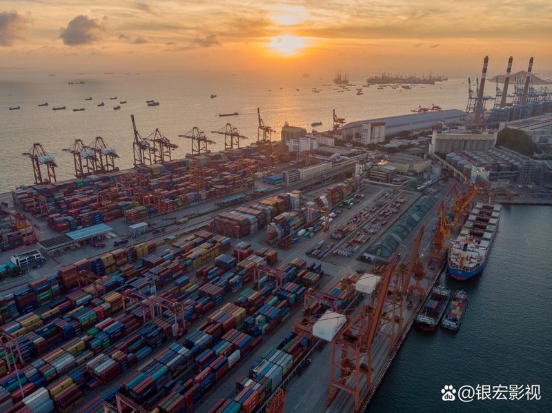 海口贸易公司现状与未来